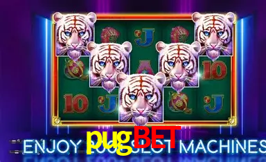 A Experiência Imersiva dos Cassinos Ao Vivo no pugbet