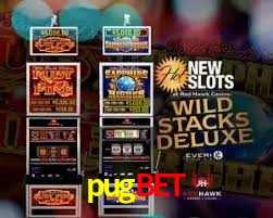 Explore as vantagens do pugbet: serviço profissional e confiabilidade